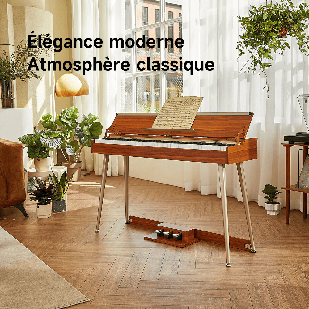 Donner DDP-80 Plus : une nouvelle mise à niveau du piano pour une nouvelle expérience