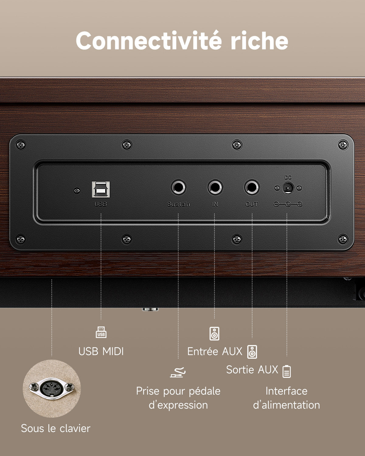 Donner OURA™ R300 Professionnel Piano Numérique-Gris-brun##