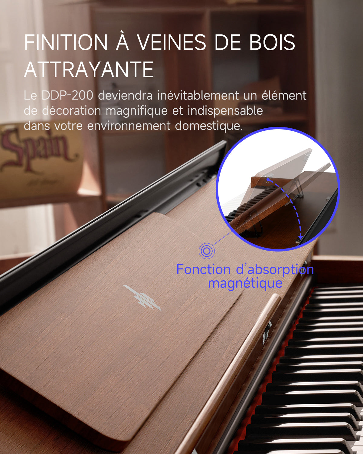 Donner DDP-200 Piano numérique avec mécanisme de marteau gradué-DDP-200 MK2##
