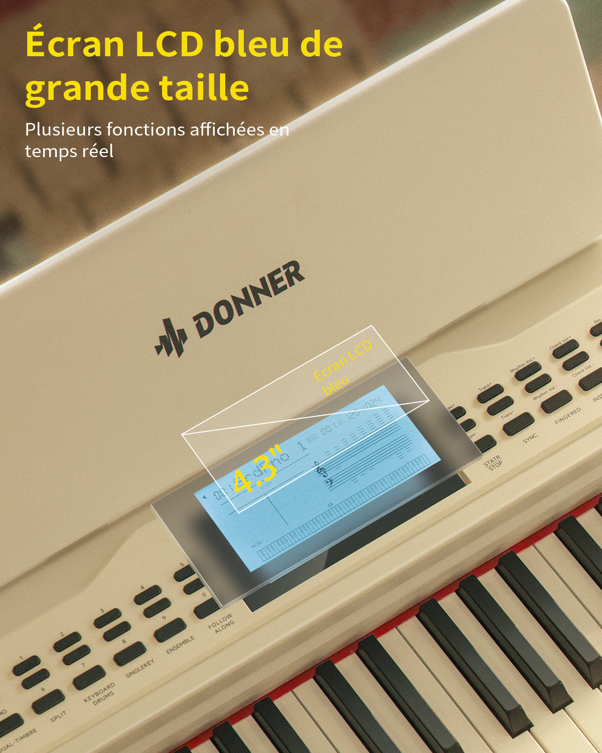 Écran LCD 4,3 pouces du Donner DDP-95 affichant la portée musicale et les notes