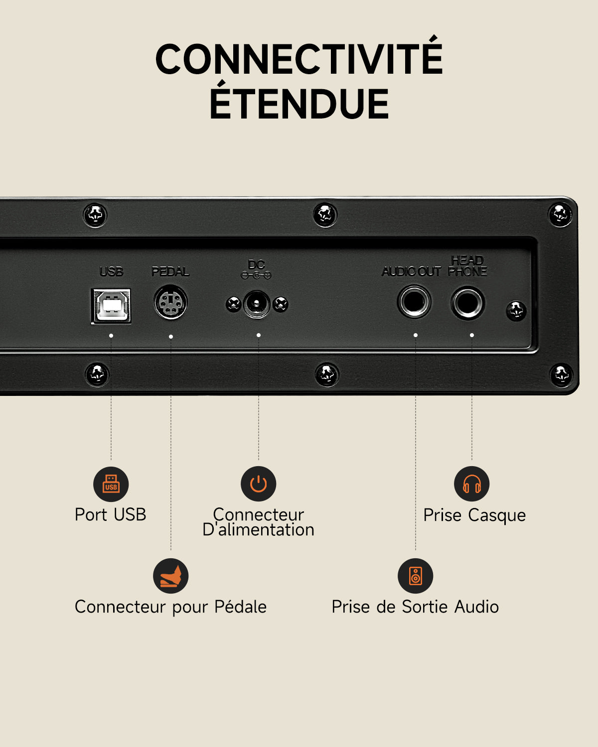 Donner DDP-50 88 touches Lestées Piano numérique
