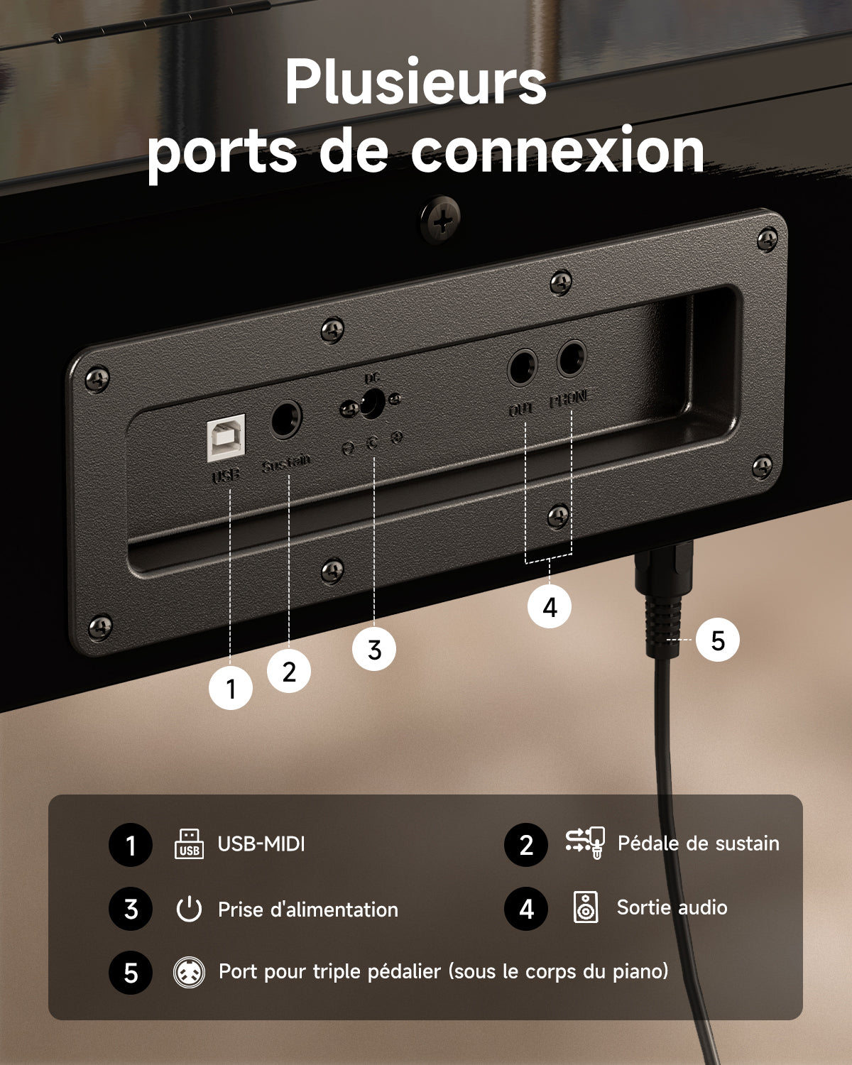 Donner DDP-75 Piano Numérique Droit Noir Laqué, 88 Touches à Action de Marteau