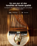 Piano numérique domestique Donner Oura S100 88 touches, grain de chêne noir