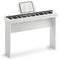 Donner Clavier électronique Piano 61 touches, indicateur lumineux Guidance Designed for Beginners, with Detachable Piano Stand, Music Stand, DK-10S Blanc