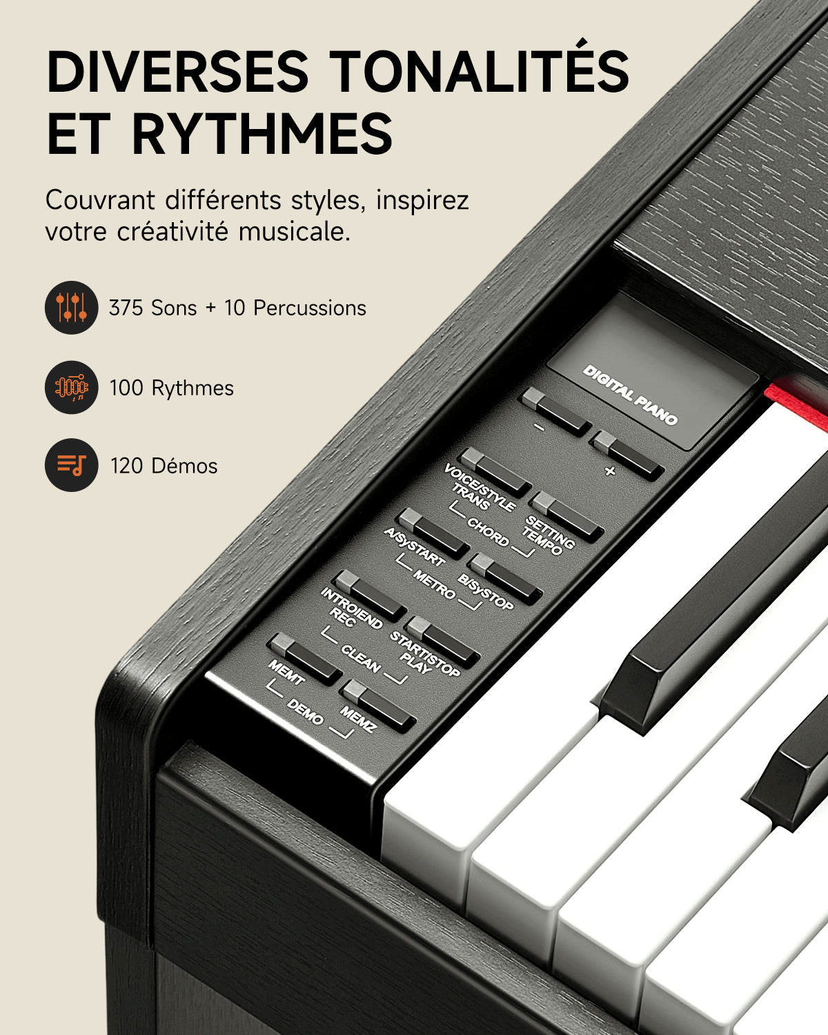 Donner DDP-50 88 touches Lestées Piano numérique