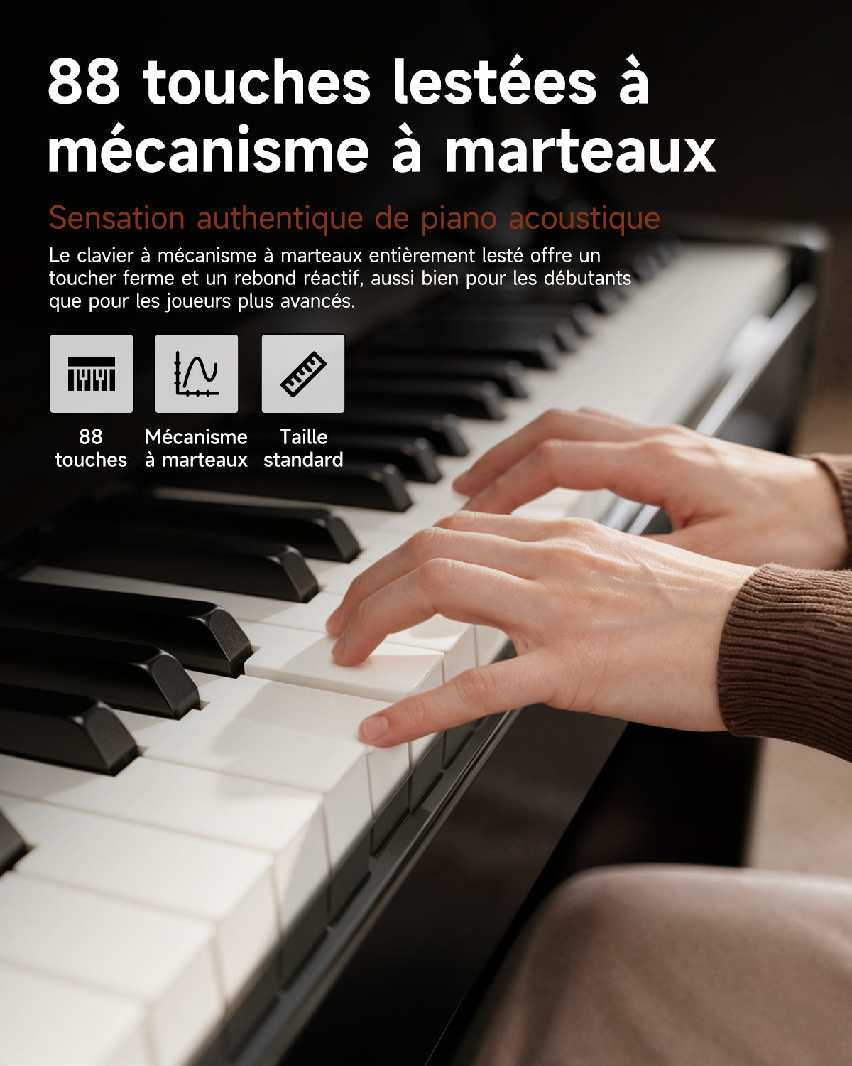 Donner DDP-75 Piano Numérique Droit Noir Laqué, 88 Touches à Action de Marteau