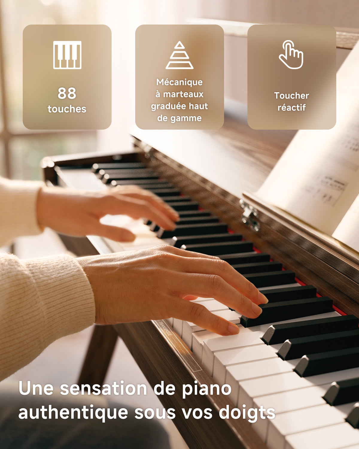 Donner OURA™ R300 Professionnel Piano Numérique-Gris-brun##
